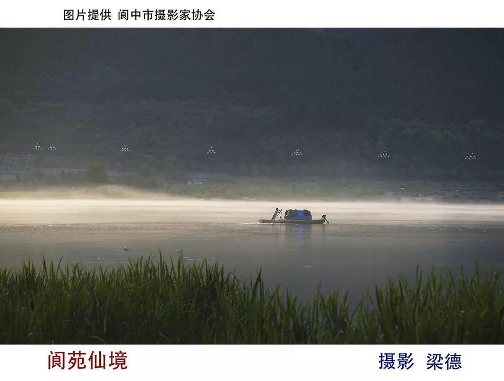 逗小猴开心系列189
