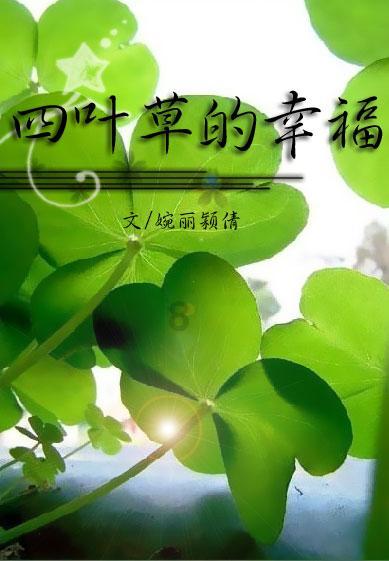掘地挖宝